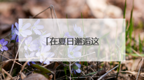 在夏日邂逅这一抹明黄！厦门多个路段和公园腊肠花盛放