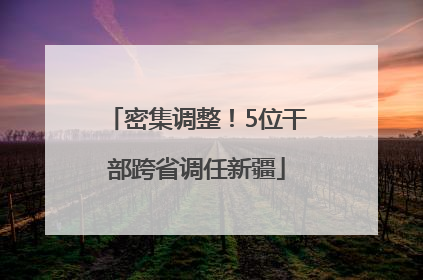 密集调整！5位干部跨省调任新疆