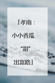 孝南：小小香瓜 “甜”出富路