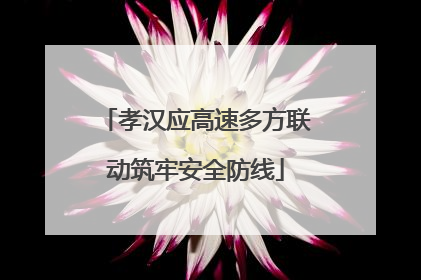孝汉应高速多方联动筑牢安全防线