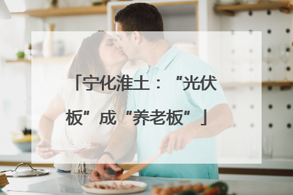 宁化淮土：“光伏板”成“养老板”