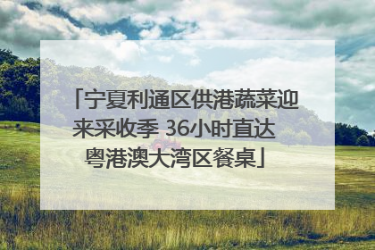 宁夏利通区供港蔬菜迎来采收季 36小时直达粤港澳大湾区餐桌