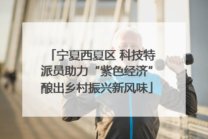 宁夏西夏区 科技特派员助力“紫色经济”酿出乡村振兴新风味