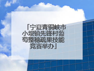 宁夏青铜峡市小坝镇先锋村葡萄整穗疏果技能竞赛举办