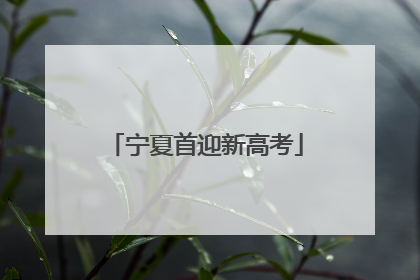 宁夏首迎新高考