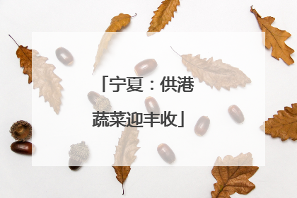 宁夏：供港蔬菜迎丰收