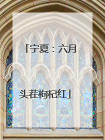 宁夏：六月头茬枸杞红