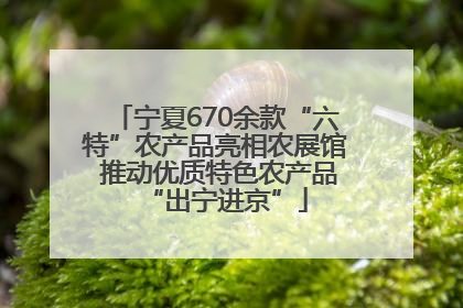 宁夏670余款“六特”农产品亮相农展馆 推动优质特色农产品“出宁进京”