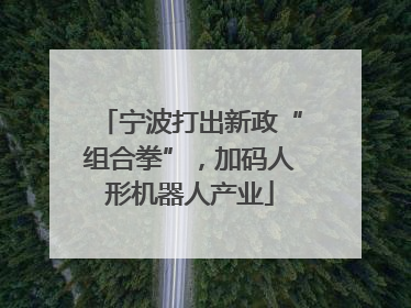 宁波打出新政“组合拳”，加码人形机器人产业