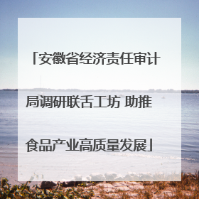 安徽省经济责任审计局调研联舌工坊 助推食品产业高质量发展