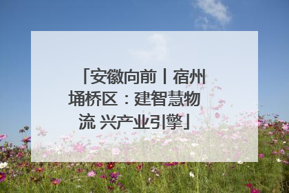 安徽向前丨宿州埇桥区：建智慧物流 兴产业引擎