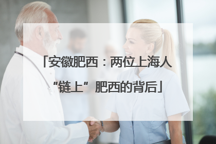 安徽肥西：两位上海人“链上”肥西的背后