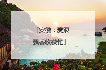 安徽：麦浪飘香收获忙