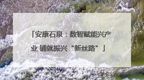 安康石泉：数智赋能兴产业 铺就振兴“新丝路”