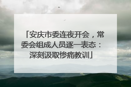 安庆市委连夜开会，常委会组成人员逐一表态：深刻汲取惨痛教训