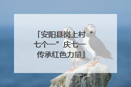 安阳县岗上村“七个一”庆七一 传承红色力量