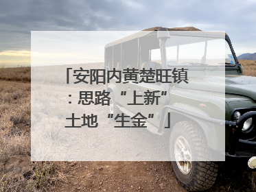 安阳内黄楚旺镇：思路“上新” 土地“生金”