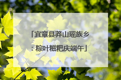 宜章县莽山瑶族乡：粽叶糍粑庆端午