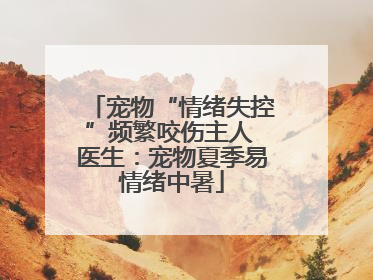 宠物“情绪失控”频繁咬伤主人 医生：宠物夏季易情绪中暑