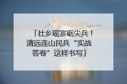 壮乡瑶寨砺尖兵！清远连山民兵“实战答卷”这样书写
