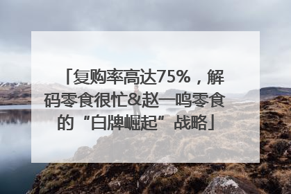 复购率高达75%，解码零食很忙&赵一鸣零食的“白牌崛起”战略