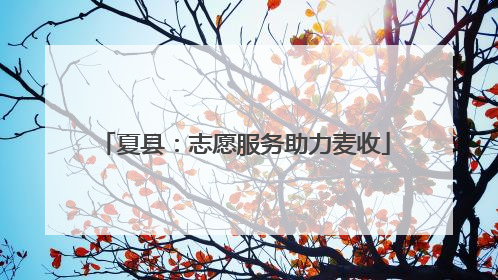 夏县：志愿服务助力麦收