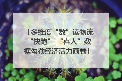 多维度“数”读物流“快跑” “喜人”数据勾勒经济活力画卷