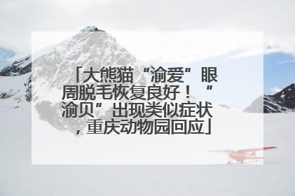 大熊猫“渝爱”眼周脱毛恢复良好！“渝贝”出现类似症状，重庆动物园回应