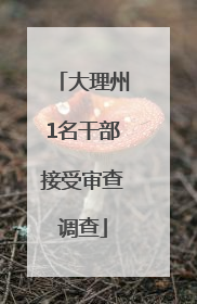 大理州1名干部接受审查调查
