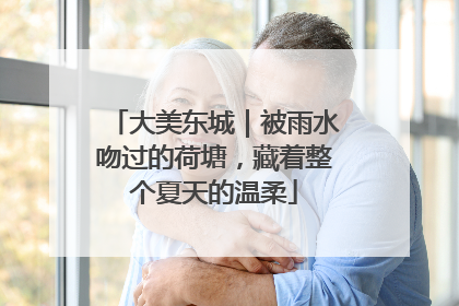 大美东城｜被雨水吻过的荷塘，藏着整个夏天的温柔
