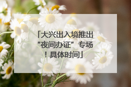 大兴出入境推出“夜间办证”专场！具体时间