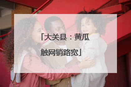 大关县：黄瓜触网销路宽