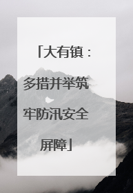 大有镇：多措并举筑牢防汛安全屏障