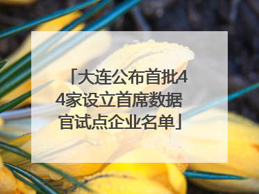 大连公布首批44家设立首席数据官试点企业名单