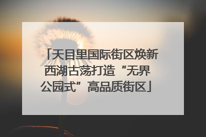 天目里国际街区焕新 西湖古荡打造“无界公园式”高品质街区