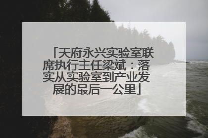 天府永兴实验室联席执行主任梁斌：落实从实验室到产业发展的最后一公里