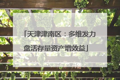 天津津南区：多维发力盘活存量资产增效益