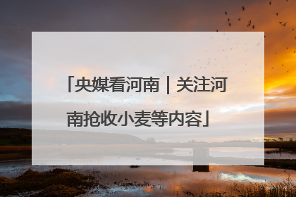 央媒看河南｜关注河南抢收小麦等内容