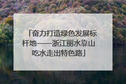 奋力打造绿色发展标杆地——浙江丽水靠山吃水走出特色路