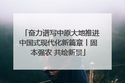 奋力谱写中原大地推进中国式现代化新篇章丨固本强农 共绘新景
