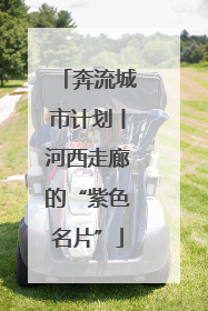 奔流城市计划丨河西走廊的“紫色名片”