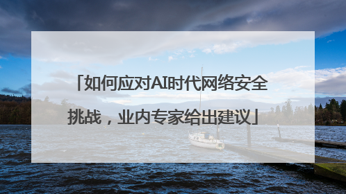 如何应对AI时代网络安全挑战，业内专家给出建议
