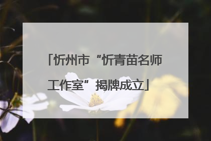 忻州市“忻青苗名师工作室”揭牌成立