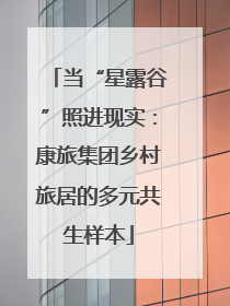 当“星露谷”照进现实：康旅集团乡村旅居的多元共生样本