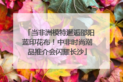 当非洲模特邂逅邵阳蓝印花布！中非时尚潮品推介会闪耀长沙
