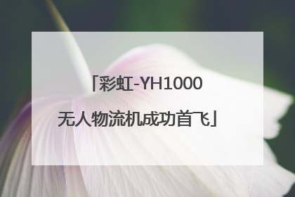 彩虹-YH1000无人物流机成功首飞