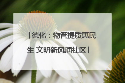 德化：物管提质惠民生 文明新风润社区