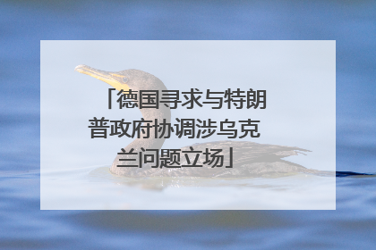 德国寻求与特朗普政府协调涉乌克兰问题立场