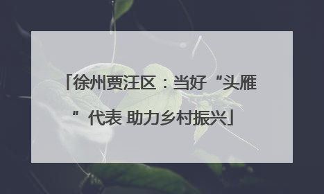 徐州贾汪区：当好“头雁”代表 助力乡村振兴
