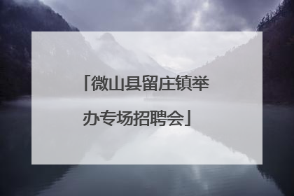 微山县留庄镇举办专场招聘会